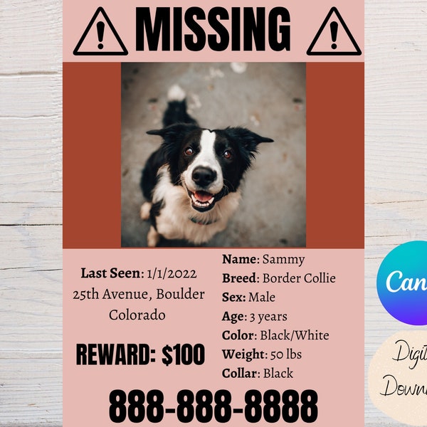 Missing Dog Template | Missing Cat Template | Flyer | Poster | Editable Flyer | Canva Template | Flyer Template | Lost Pet
