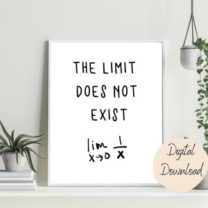 The Limit Does Not Exist | Math Poster | Math Classroom |Math Teacher |Student |Office| Math Decor| STEM |Math gift print| Algebra| Calculus