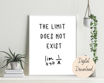 The Limit Does Not Exist | Math Poster | Math Classroom |Math Teacher |Student |Office| Math Decor| STEM |Math gift print| Algebra| Calculus