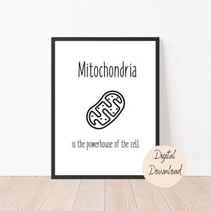 May include: Black and white printable illustration of a mitochondrion, a cell organelle, with the text "Mitochondria is the powerhouse of the cell".