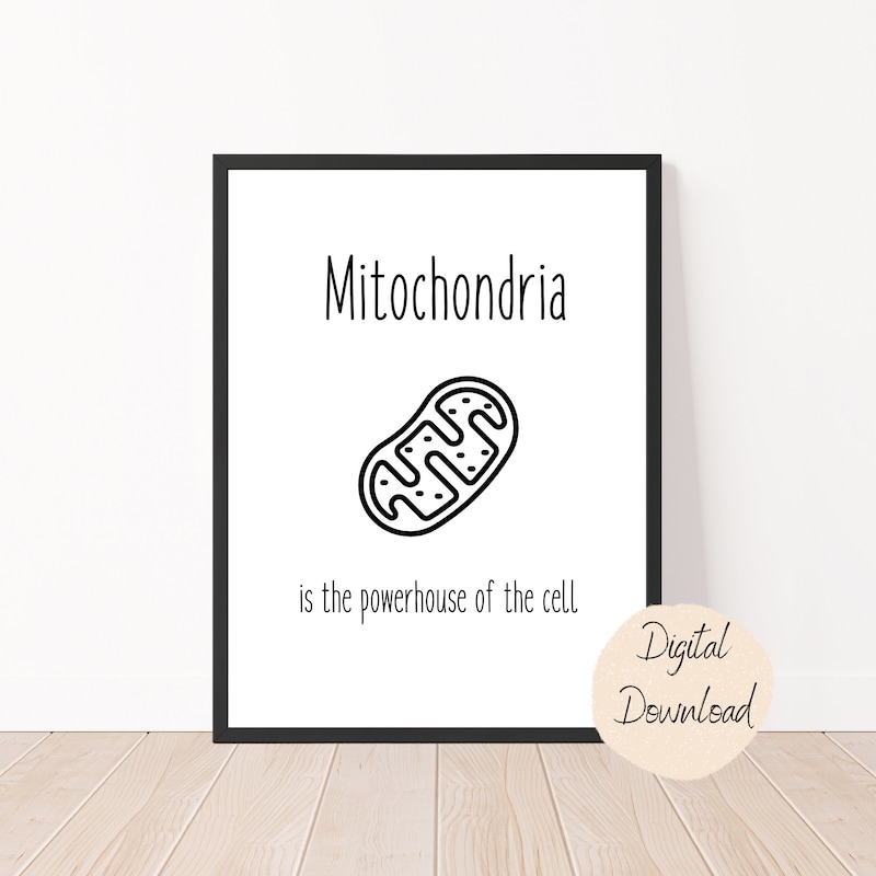 Mitochondria - Etsy