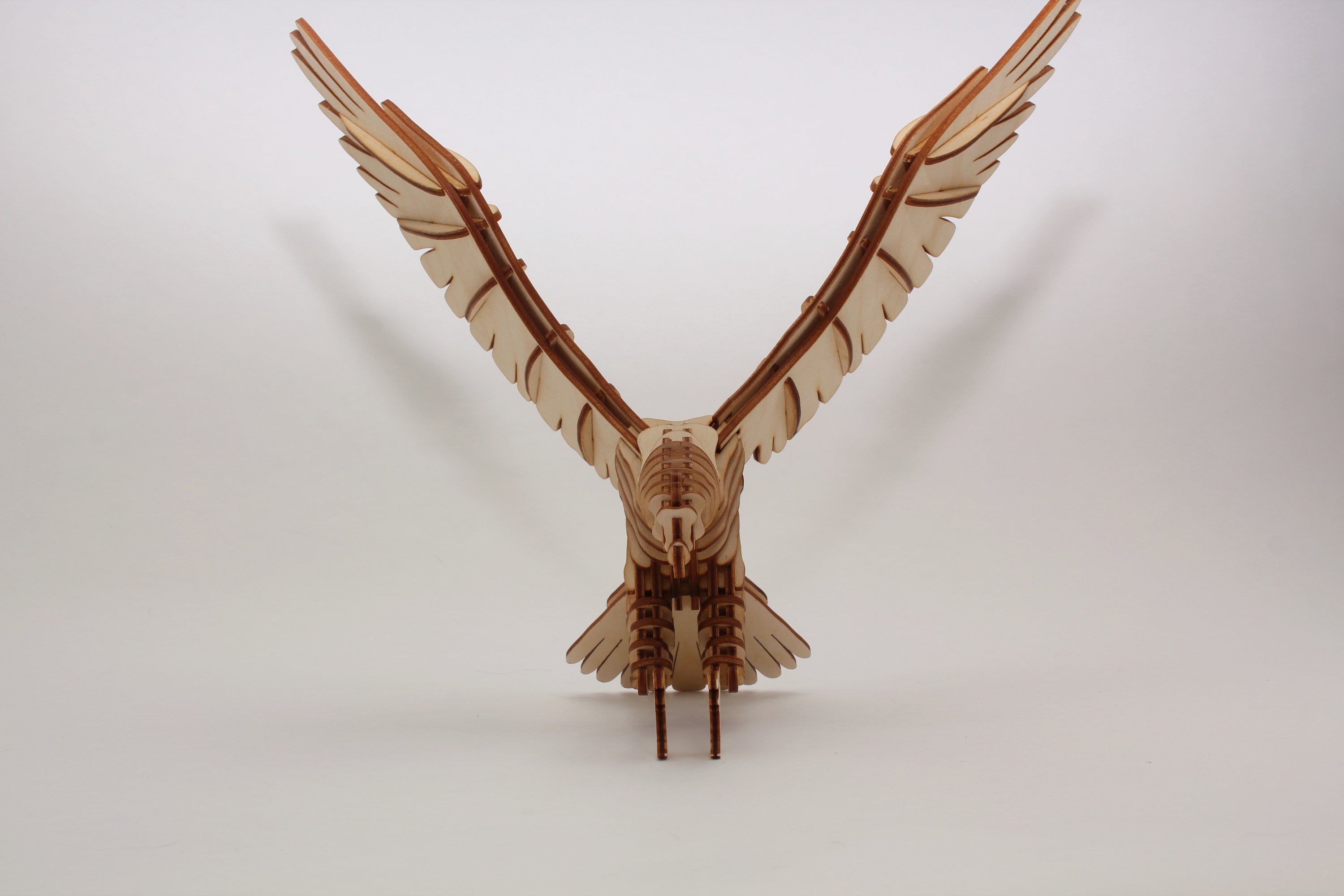 DBZ Guitars Bird Of Prey White 2009 – Chicago Music Exchange