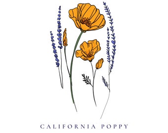 California Poppy Wall Art, Digital Wall Art, Digital Download, Floral Wall Art, Minimalist Wall Art