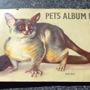 Card in album   Pets Album from Hornimans Tea.  complete set  1 card missing.