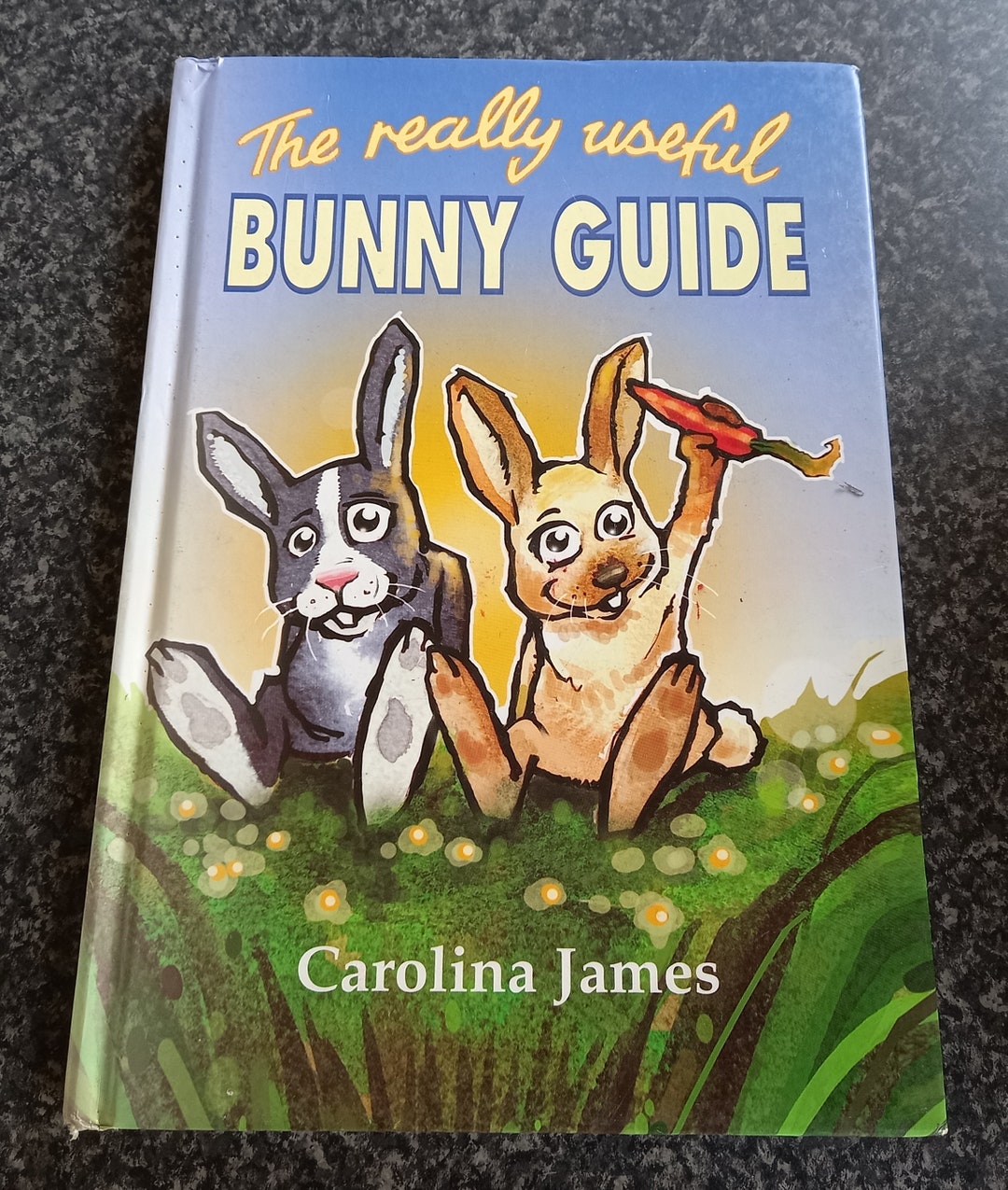 The Really Useful Bunny Guide by Carolina James. - Etsy
