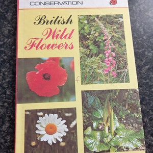 Könnte beinhalten: Ein Buchcover mit dem Titel "British Wild Flowers" und Bildern von vier verschiedenen Blumen: einer roten Mohnblume, einer weißen Gänseblümchen, einem rosafarbenen Fingerhut und einem grünen Aronstab.