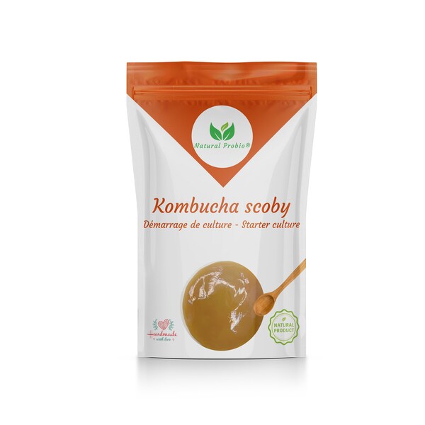 Kombucha scoby Démarrage de Culture Recette complète incluse