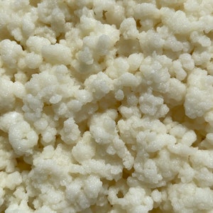 Milk Kefir Grains Culture Starter Kit Complete Recipe Included image 2