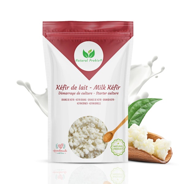 Grains de Kéfir de lait Kit de démarrage de Culture Recette complète incluse