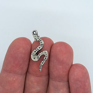May include: Silver snake charm with a detailed design. The snake is curled in an S shape with its head raised.