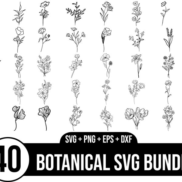 Botanische SVG Bundle, Pflanze svg, Linie Kunst svg, Blumen svg, Blume svg, florale Blätter und Zweige svg, botanische Clipart