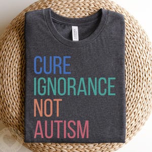 Puede incluir: Una camiseta gris oscuro con el texto "Cure Ignorance Not Autism" impreso en colores arcoíris.