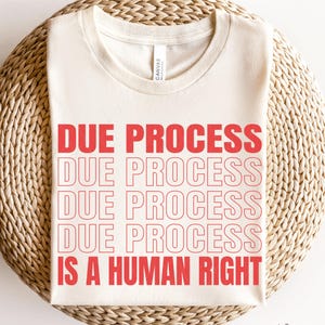 Op de afbeelding: Een beige T-shirt met de tekst "DUE PROCESS" die vier keer in het rood wordt herhaald, gevolgd door "IS A HUMAN RIGHT" in het rood. Het shirt ligt op een geweven strooppervlak.