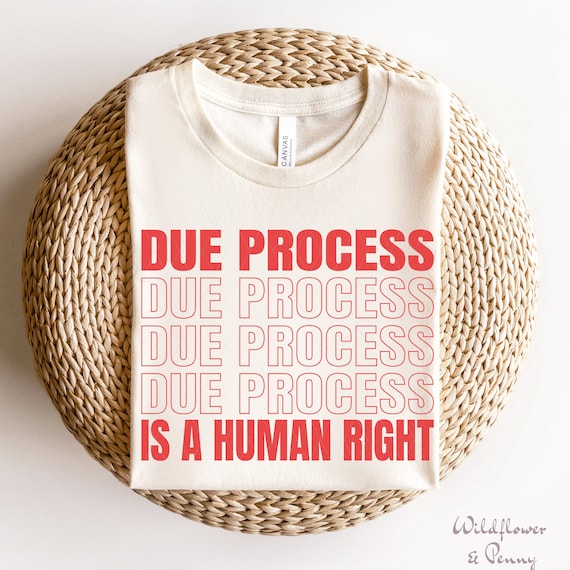 Due Process Shirt, Freedom Shirt