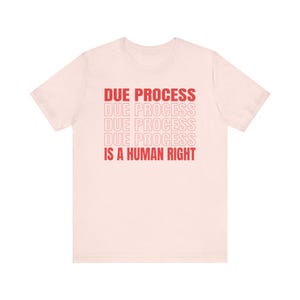Due Process-shirt, Freedom-shirt Soft Pink