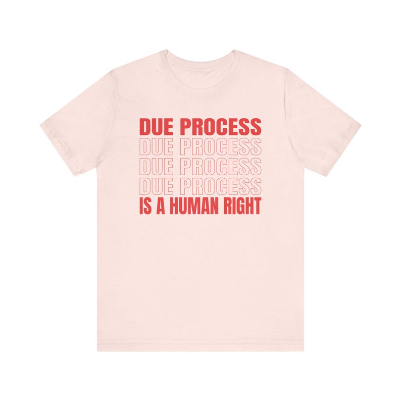 Due Process-shirt, Freedom-shirt Soft Pink