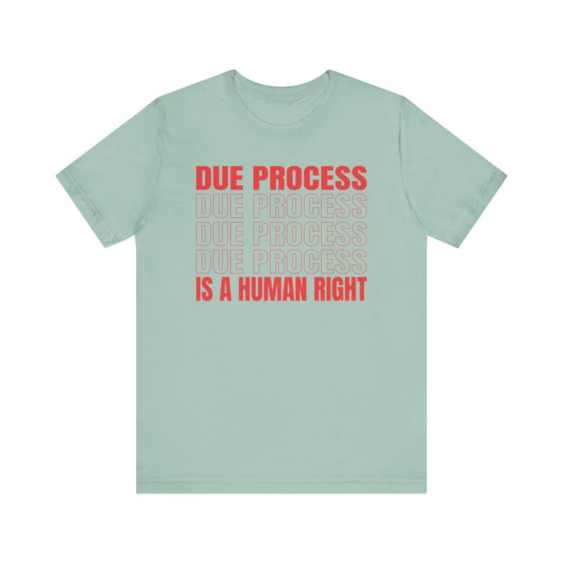 Due Process-shirt, Freedom-shirt Dusty Blue