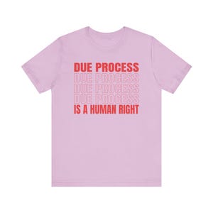 Due Process-shirt, Freedom-shirt Lilac