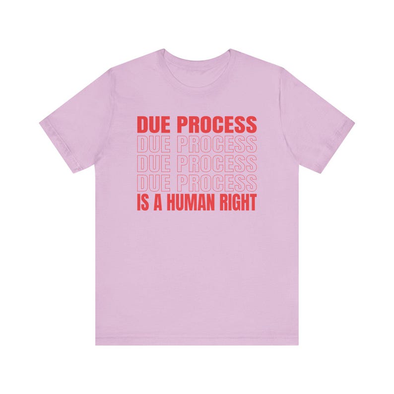 Due Process-shirt, Freedom-shirt Lilac