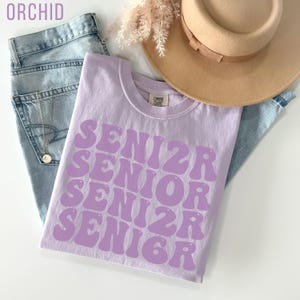 Aesthetic Senior 2026 Shirt, Back to School Shirt Class of 2026, High School Seniors 2026, Comfort Colors Senior Tee,College Senior Gift Tee