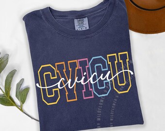 CVICU Nurse Comfort Colors Shirt: Cardiac ICU RN Gift