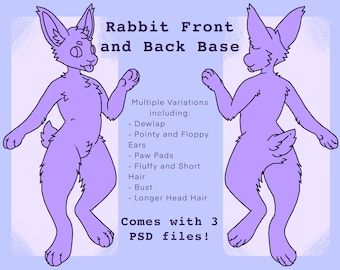 Base de conejo antropomorfo: Hoja de referencia de conejito peludo (archivos PSD)