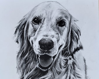 Personalized pet portrait in Charcoal.Charcoal.Souvenir and Pet Memorial.Gift on special date.Doglover.Originalportrait