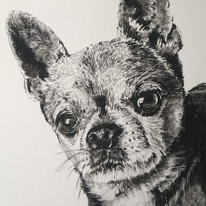 Ritratto personalizzato di animali domestici in CARBONCILLO. Charcoal.Souvenir e animale domestico commemorativo. Data speciale regalo. Regala l'arte. Dimensioni A4, A3 e A2