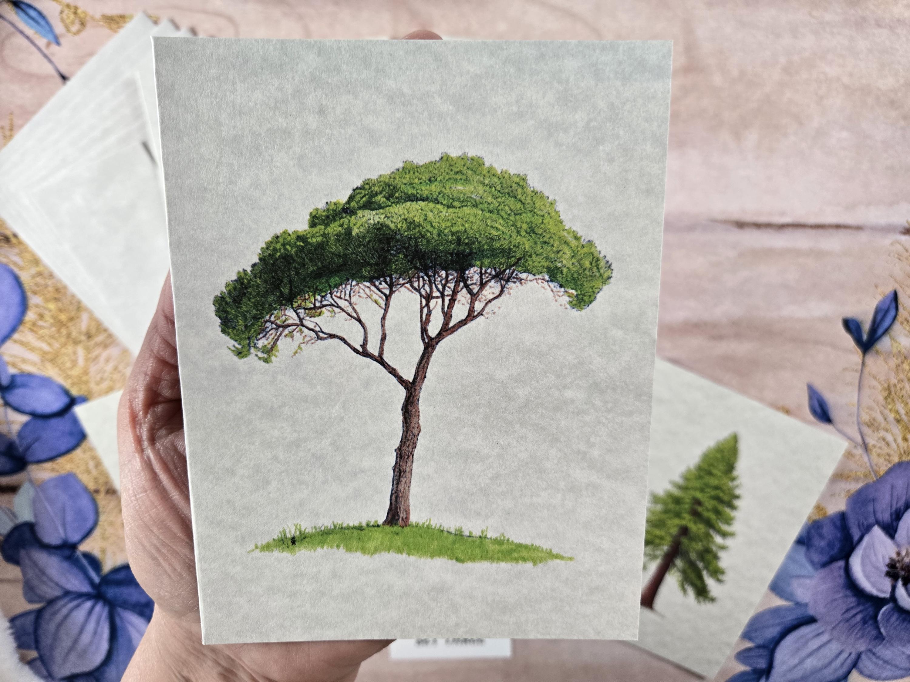 Tree Note Cards, Handmade Message Cards, Unique Art, Set of 6 - Etsy