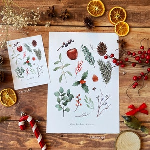 Carte dhiver illustrée Houx, cannelle, pomme de pin, gui & sapin Faire plaisir à Noël image 2