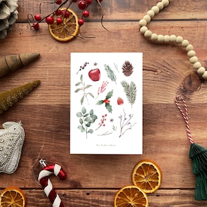 Carte d’hiver illustrée | Houx, cannelle, pomme de pin, gui & sapin | Faire plaisir à Noël