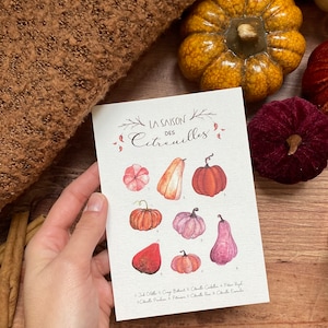 Halloween saison des citrouilles | Collection cosy Fine Art | Potiron Potimarron Courge Butternut