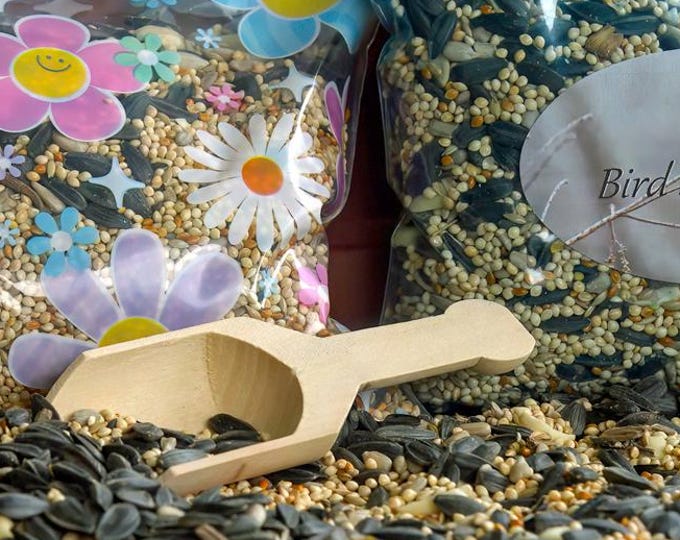 Songbird Seed Mix: Sunflower, Millet, Canary Grass