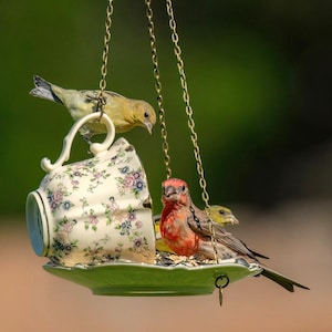 Teacup Bird Feeder: Cream Floral Design, Birdseed Included, Mother, Daughter gift, Housewarming gift, Christmas, Birthday, Unique, Garden,