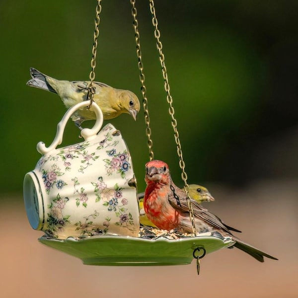 Mother's Day Floral Teacup Birdfeeder, Cream, Pink, and Blue Flowers, Birdseed Included