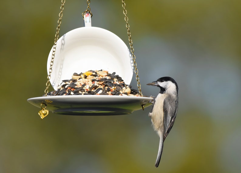 Teacup Bird feeder, Hanging Birdfeeder, Unique Birdfeeder, Bird Lover Gift image 10