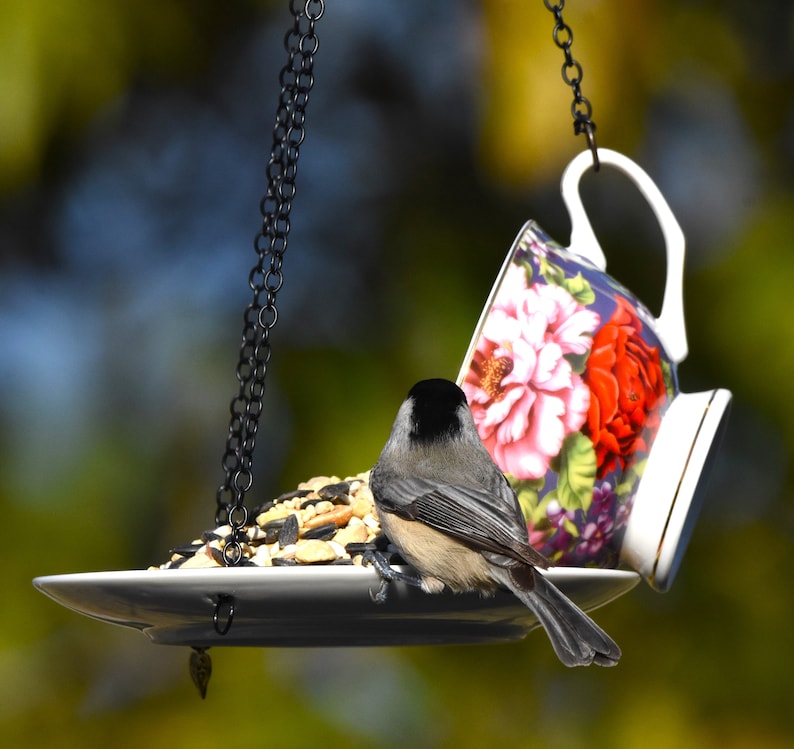 Teacup Bird feeder, Hanging Birdfeeder, Unique Birdfeeder, Bird Lover Gift Blue