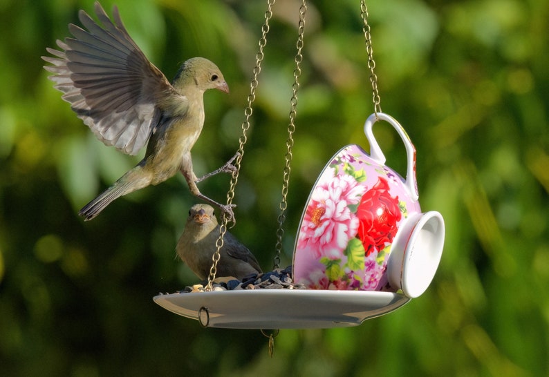 Teacup Bird feeder, Hanging Birdfeeder, Unique Birdfeeder, Bird Lover Gift image 2