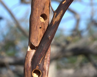 Custom Cedar Suet bird feeder