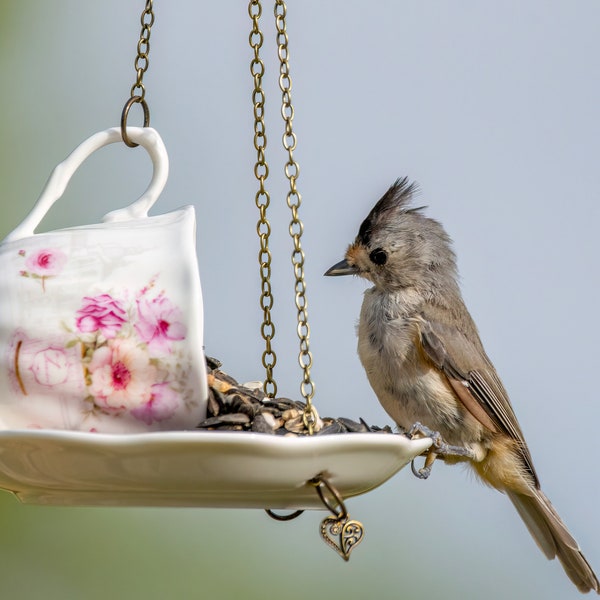 Teacup Birdfeeder, Gift for mom, daughter, friend, Bird Lover Gift, Garden Gift