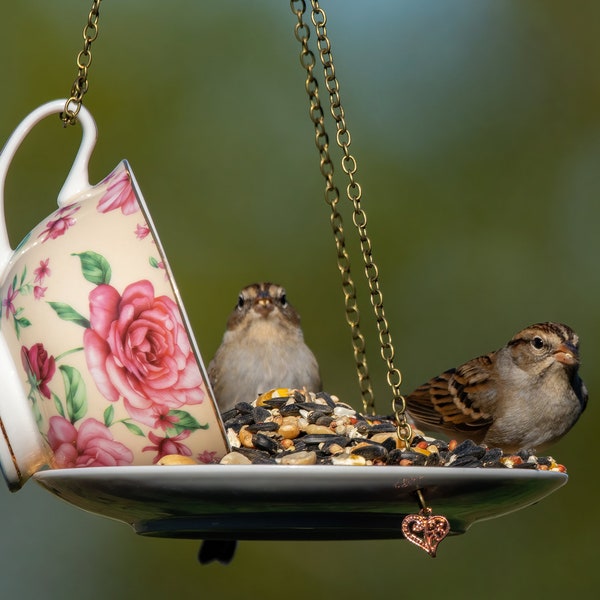 Teacup Bird Feeder: Hanging Garden Birdfeeder with Birdseed, Garden Bird Decor, Outdoor Nature Lover.
