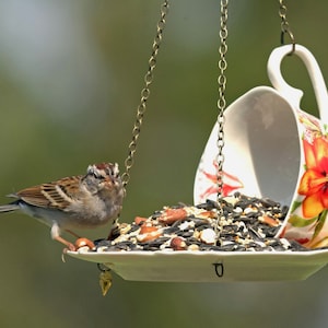 Teacup Birdfeeder, Unique Gift, Bird Lover Gift, Hanging Bird Feeder