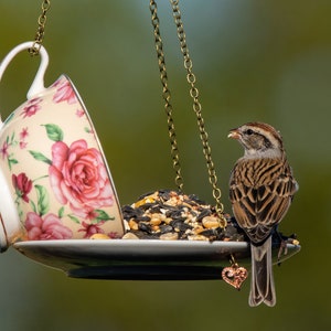 Teacup Bird feeder, Hanging Birdfeeder, Unique Birdfeeder, Bird Lover Gift image 7