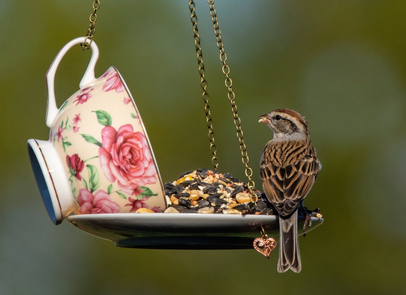 Teacup Bird feeder, Hanging Birdfeeder, Unique Birdfeeder, Bird Lover Gift image 7