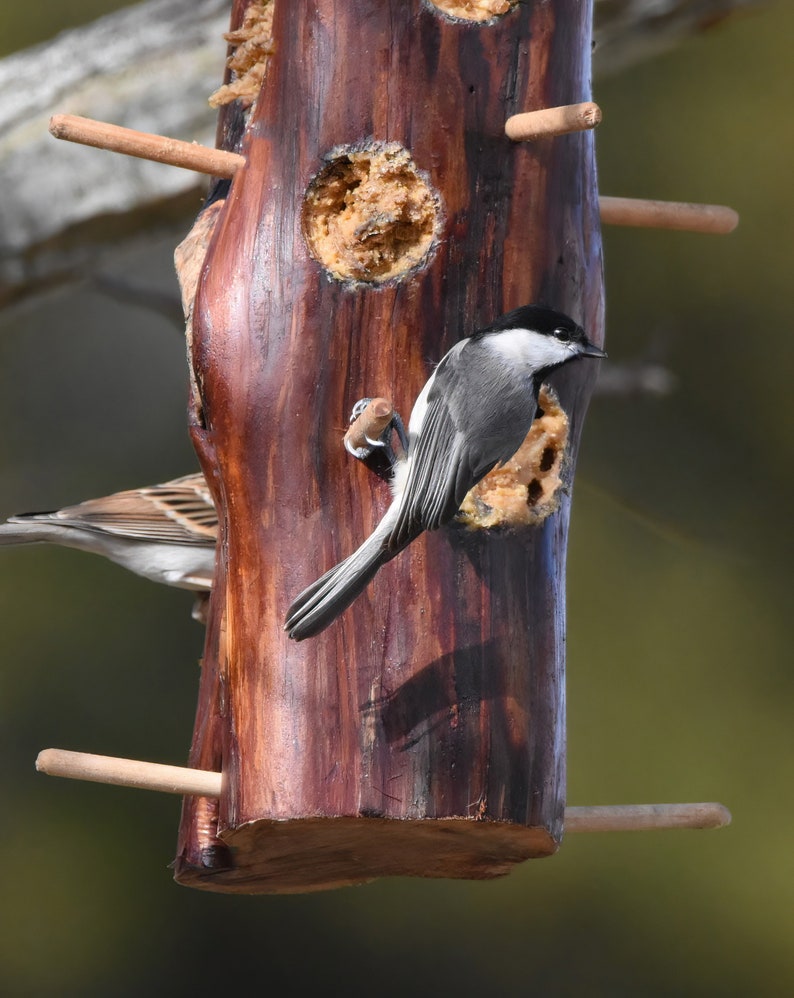 Suet/bark Butter/cedar Log Suet Feederbark Butter Suet Etsy