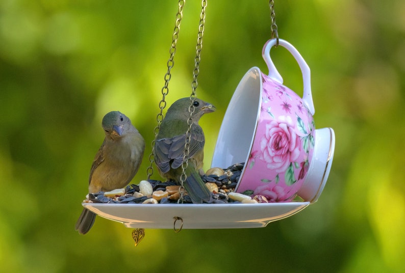 Teacup Bird feeder, Hanging Birdfeeder, Unique Birdfeeder, Bird Lover Gift image 9