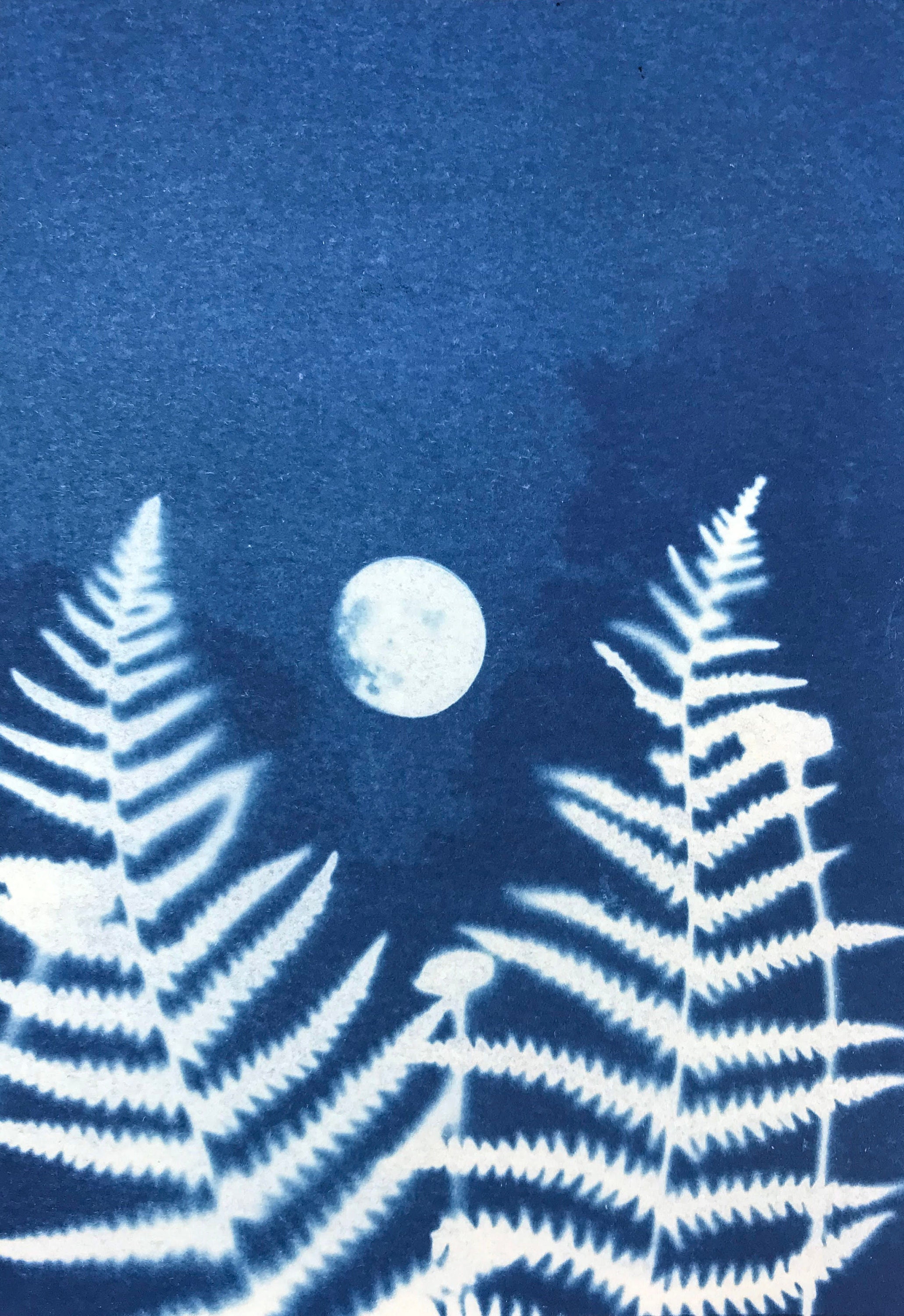 Impression Cyanotype Original - Carte Botanique