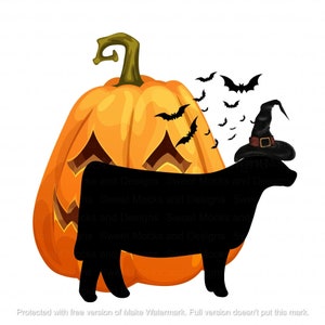 Show Cattle Png, instant digital design, png, stock show, livestock, showing, Halloween Heifer Witch Design, Show Heifer Png, Show Stock Png