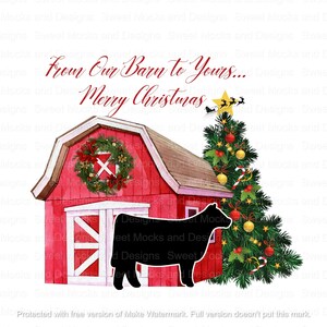 Show Heifer Digital Design** Show Steer Png, Show Cattle Png, Stock show design, Show Steer Sublimation, Christmas Show Cattle Png