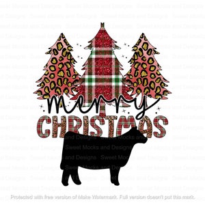 Show Heifer Png, Christmas Show Steer Png, Show Cattle Png, Show Steer Digital Design, Stock show design, Show Heifer Png, Stock Show Png